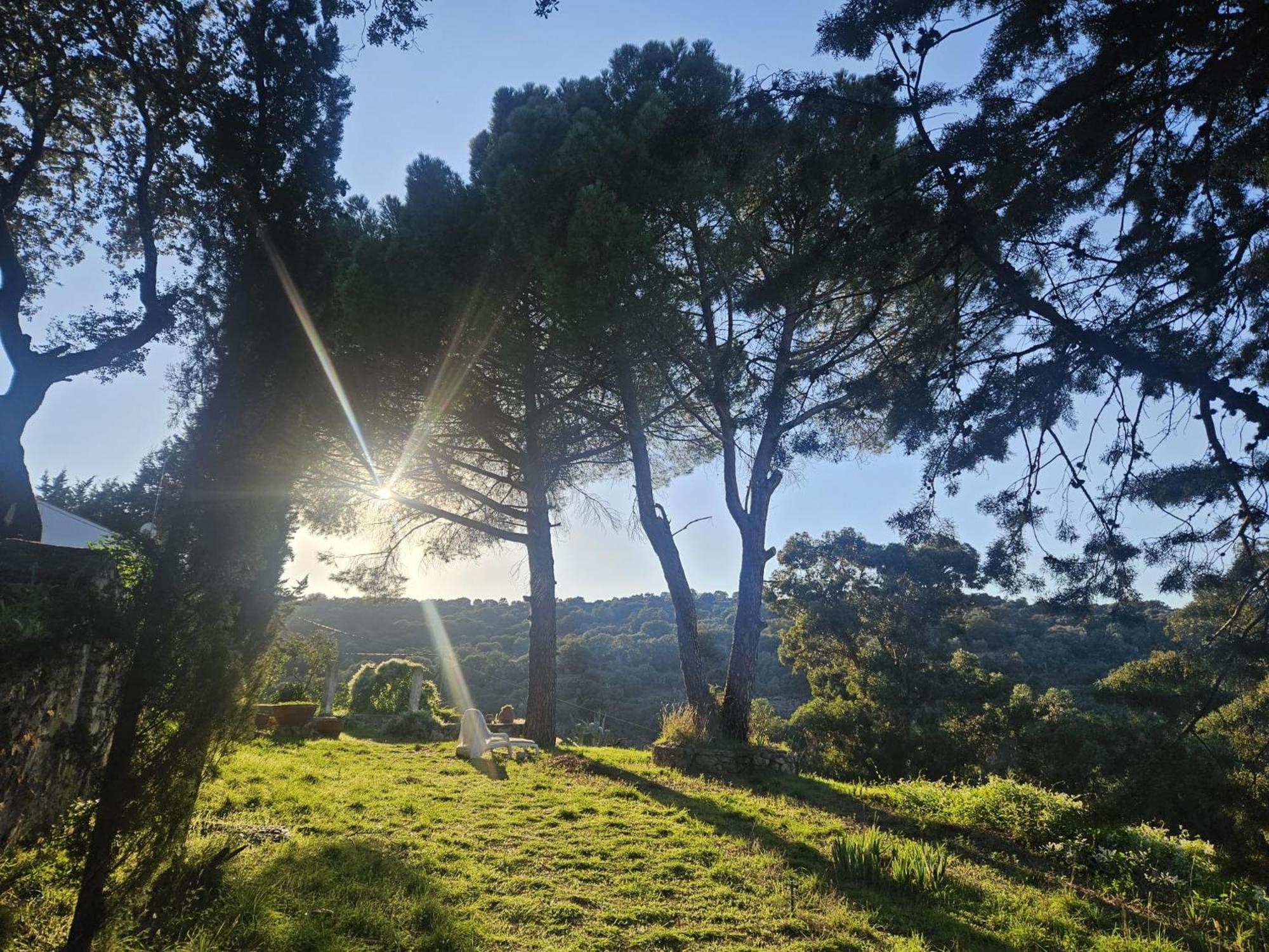 Casa Rural Camino De Hierro I Y II La Fregeneda Екстериор снимка