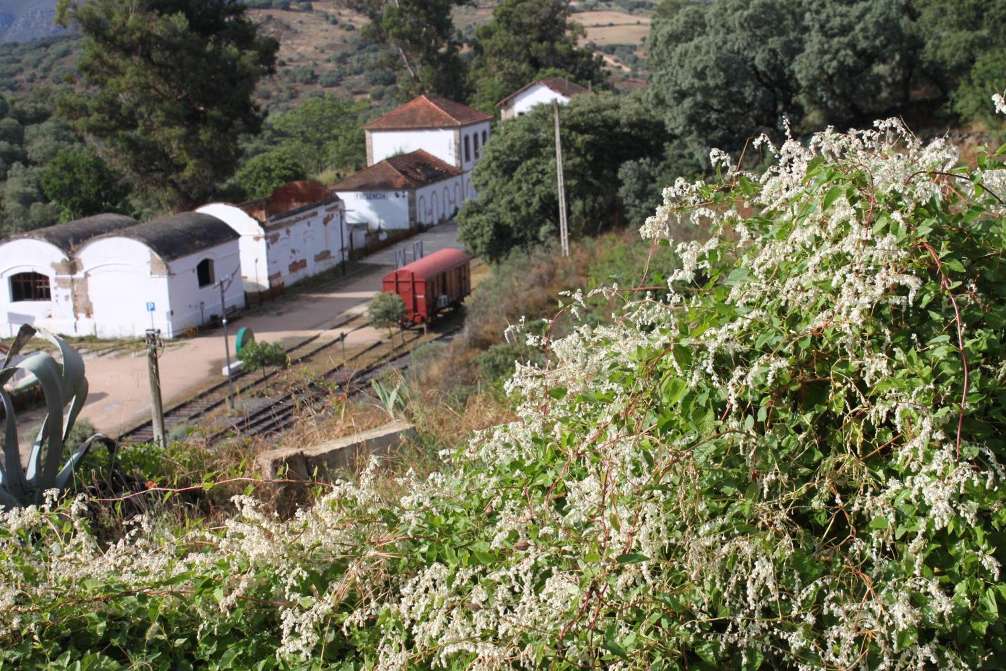 Casa Rural Camino De Hierro I Y II La Fregeneda Екстериор снимка